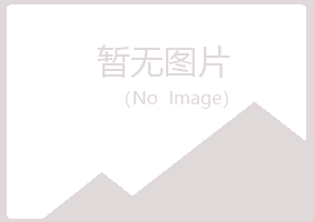 山东夏岚工程有限公司